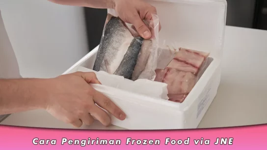 Cara Pengiriman Frozen Food via JNE